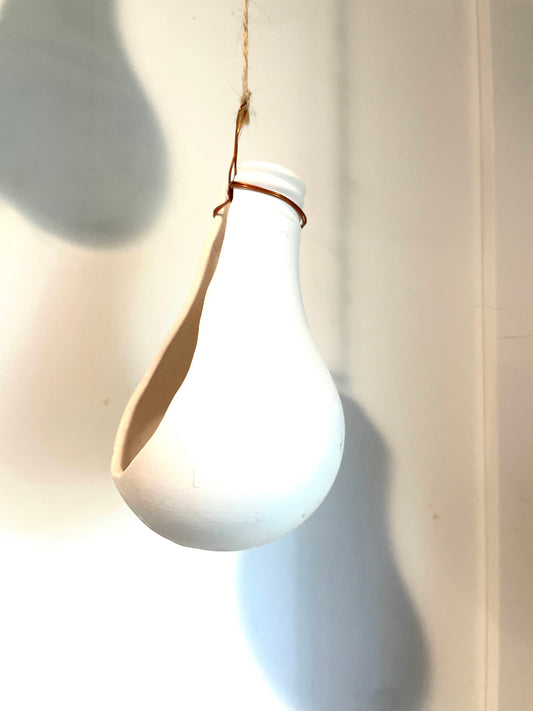 Bright Idea! Air Plant Holder