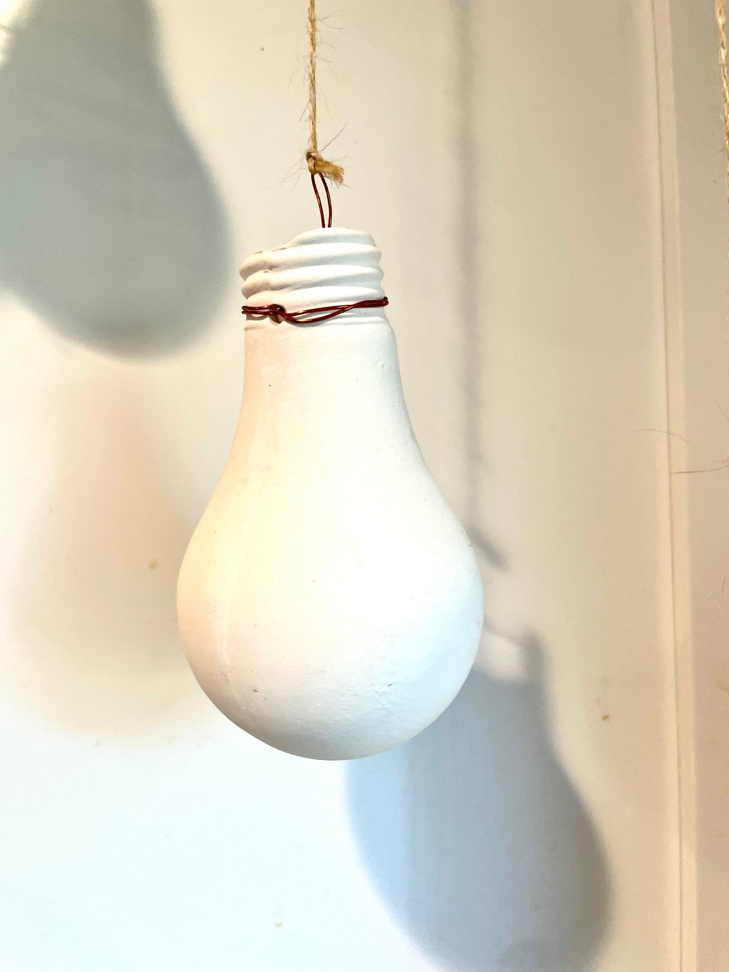 Bright Idea! Air Plant Holder